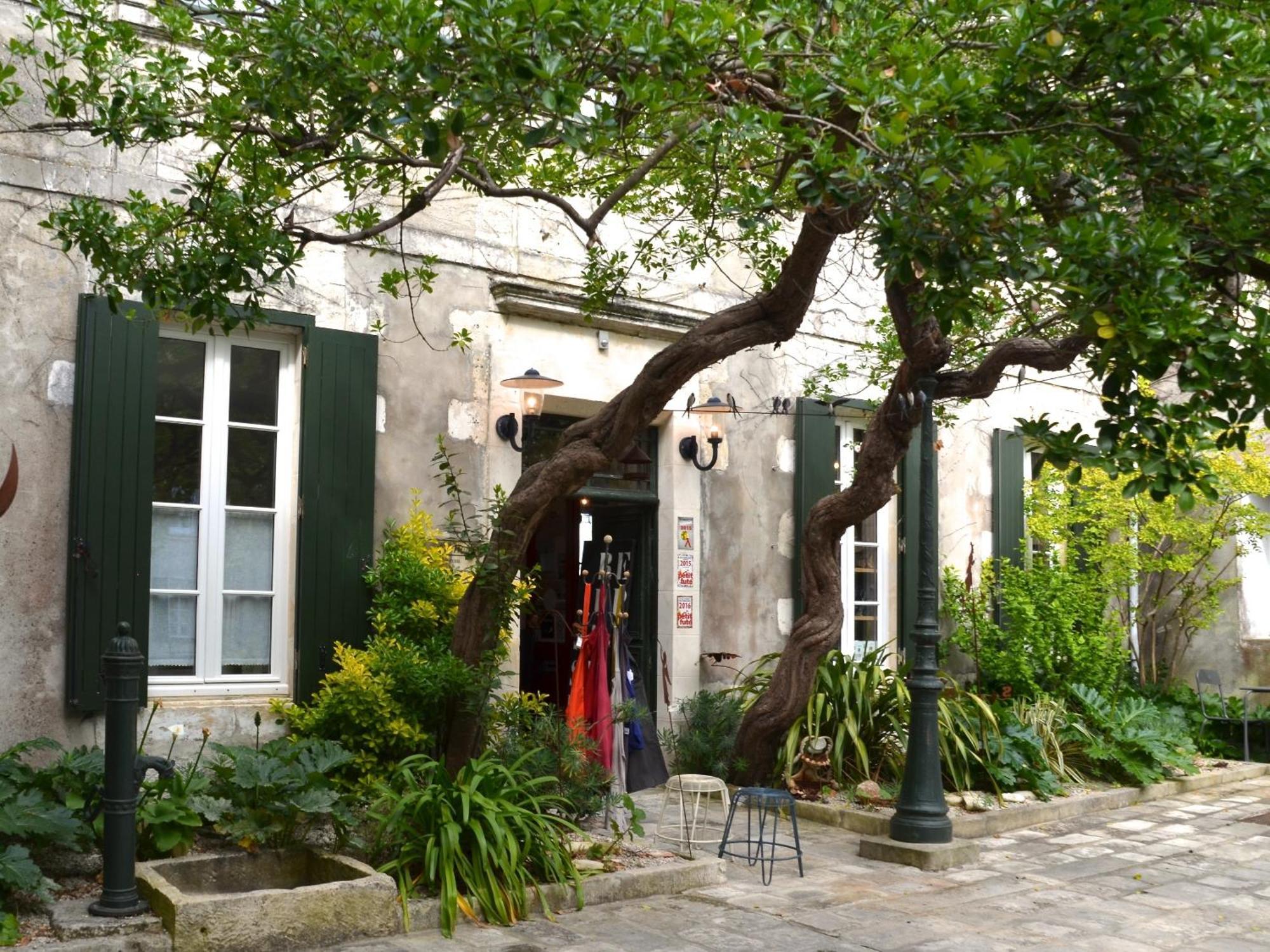 Bed and Breakfast Le Mole La Flotte Exteriér fotografie